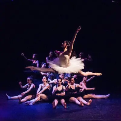 19388410_1181975671914628_2722354378765289419_o