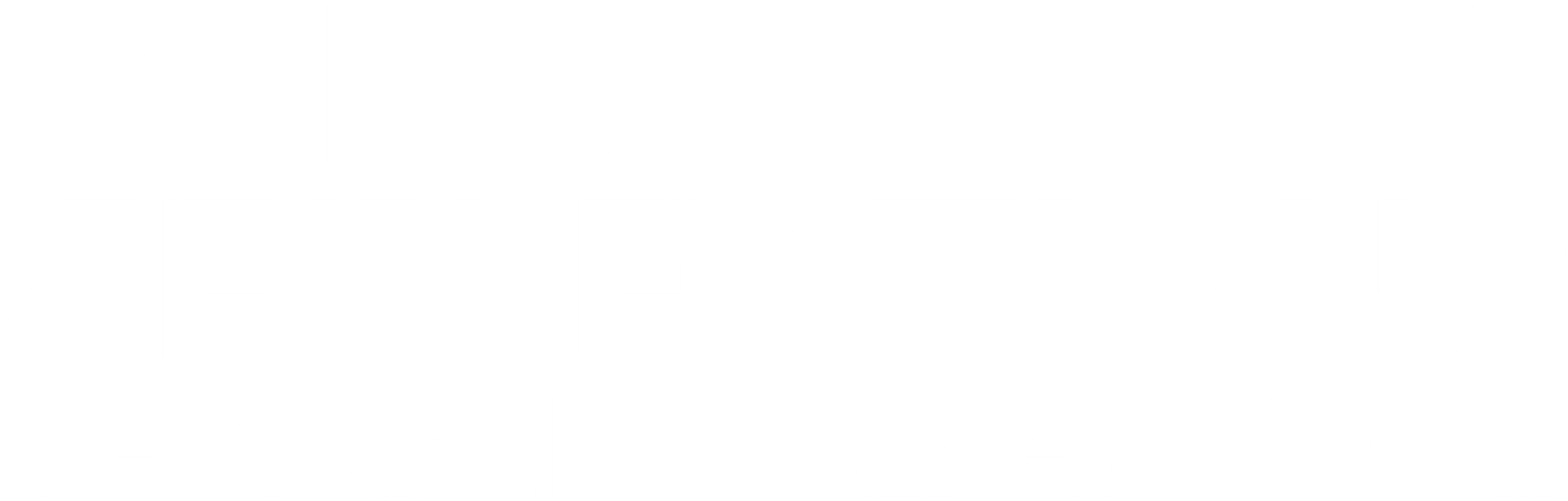 logo_DANCE REFLECTIONS (White)