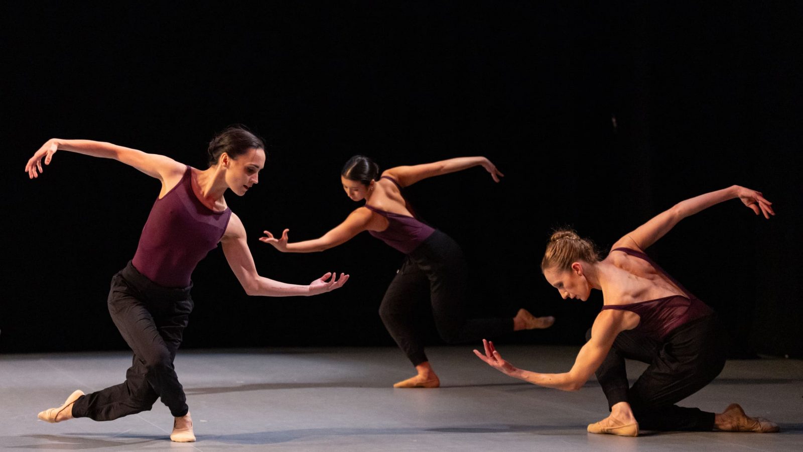 Photo by Danica Paulos