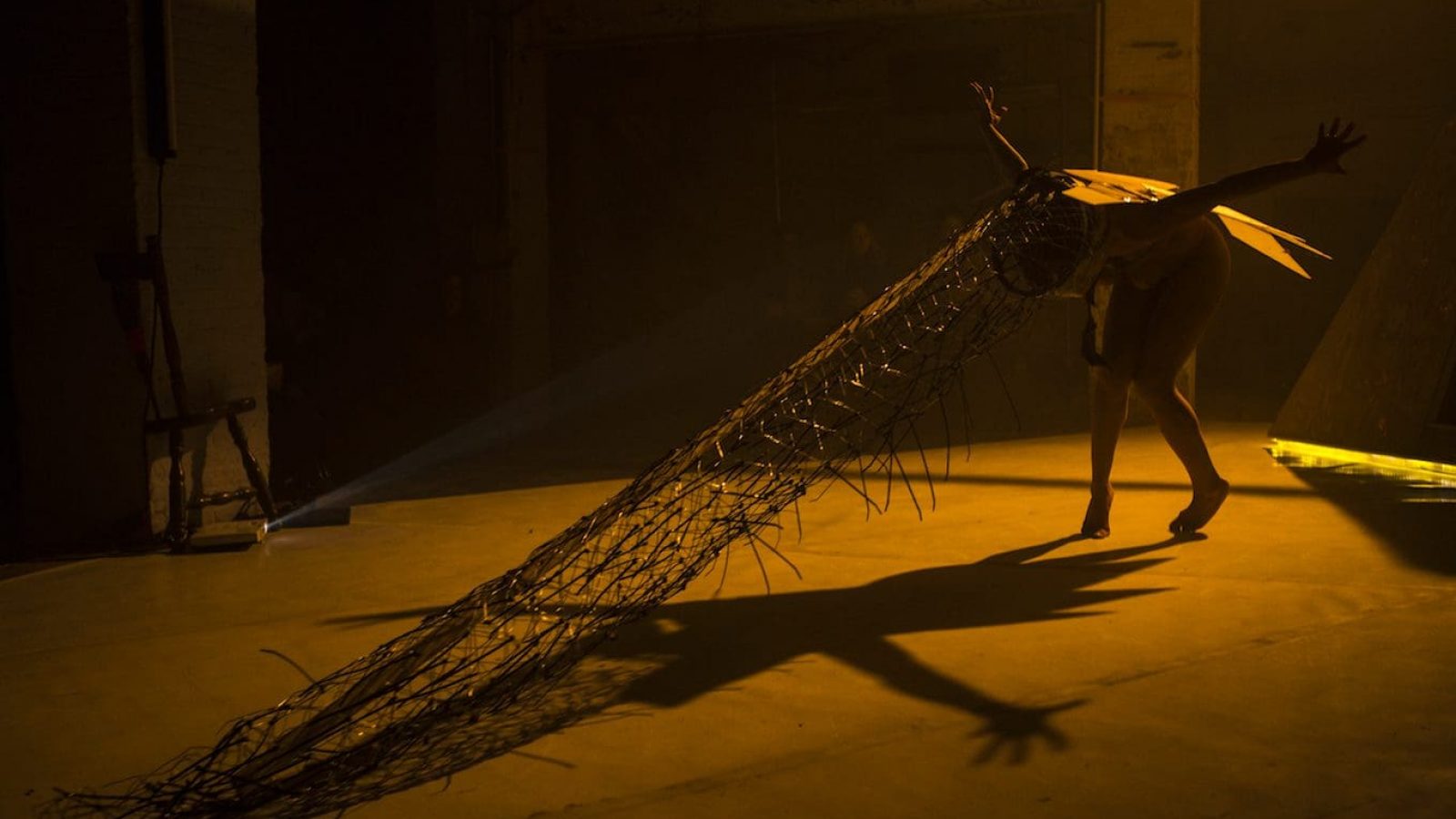 Marjani_Forte_Unicorn_Baranova-1518