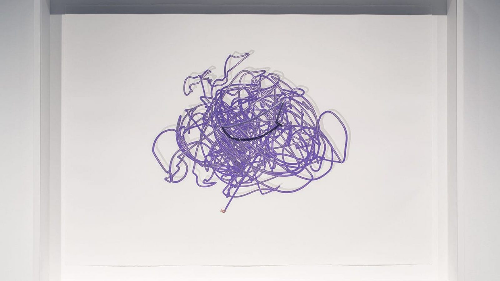 Spin-Dips-Davon-Amazon-Size-30x42-in-Three-color-lithograph-with-3D-and-photographic-collage-elements-2016