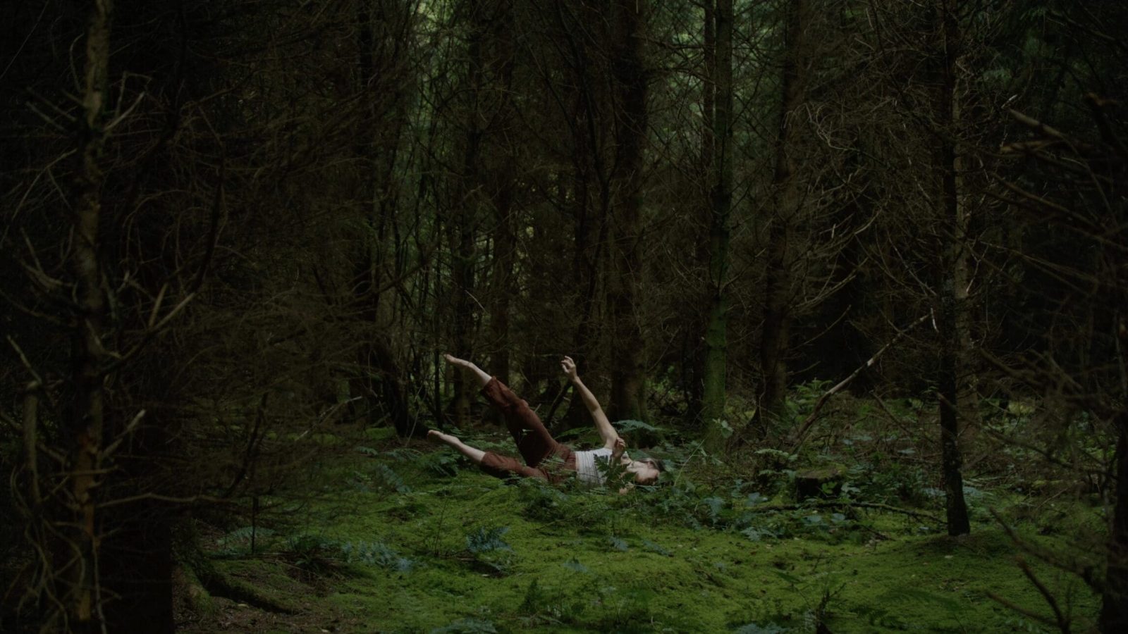 Photo by Taylor Antisdel